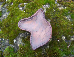 Boîte ‘tête de cheval’