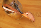 Etui pour couteau